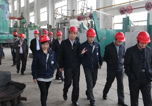 如皋市委書(shū)記姜永華赴南通電站閥門(mén)調(diào)研